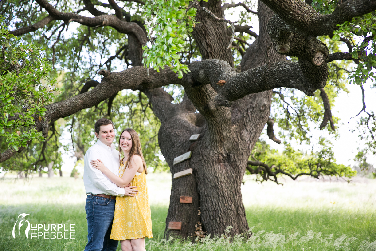 Outdoor Nature Engagement Session
