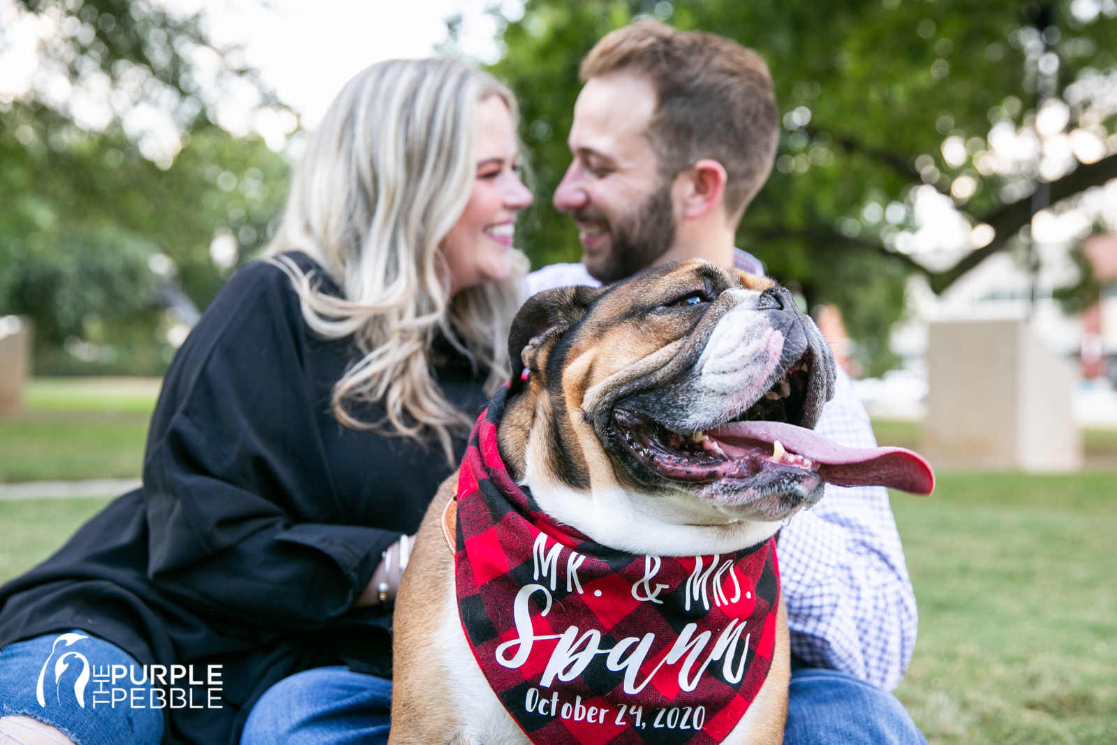 Bulldog in Engagement Session