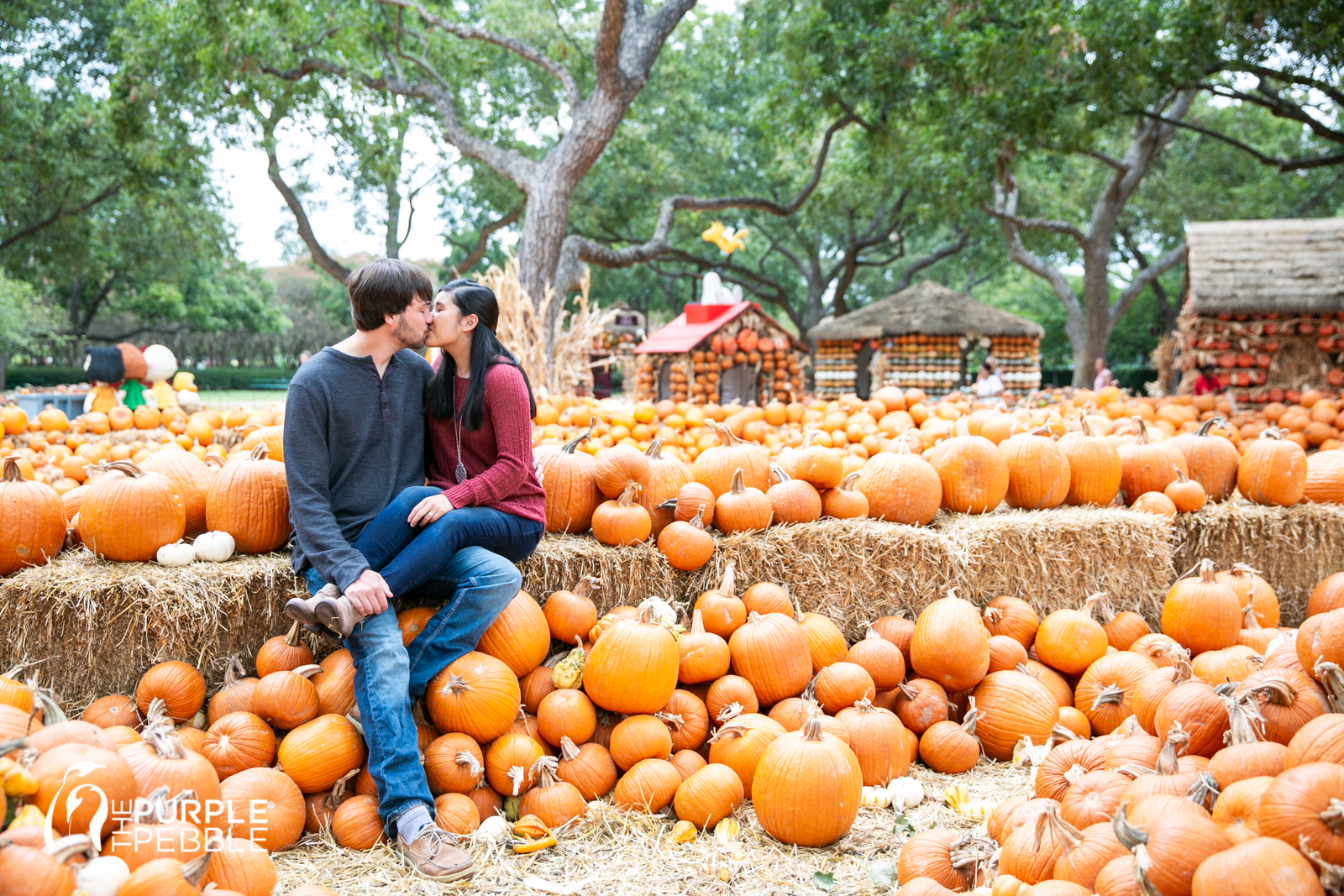Fall Pumpkin Patch Engagement Session