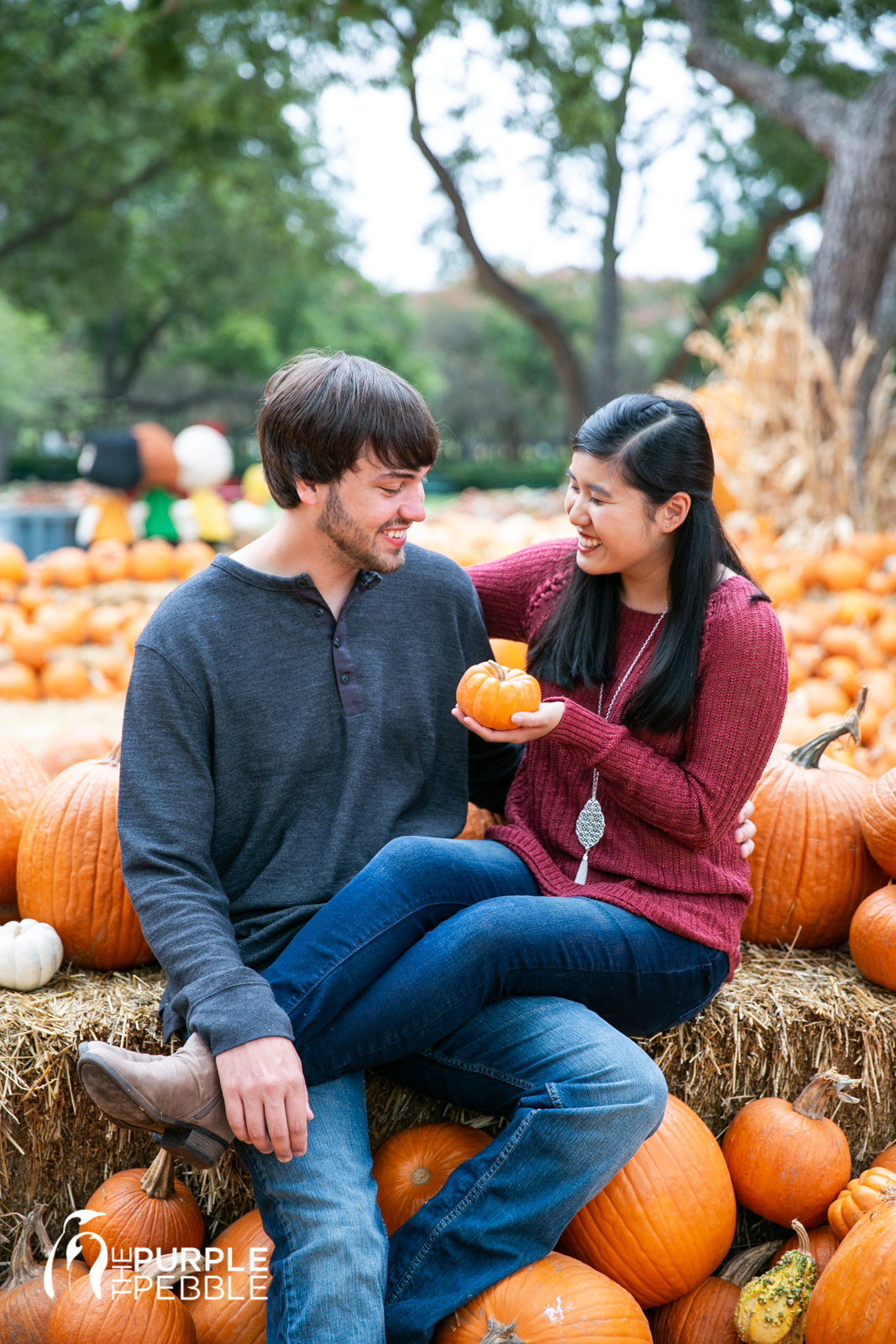 Fall Dallas Engagement Session