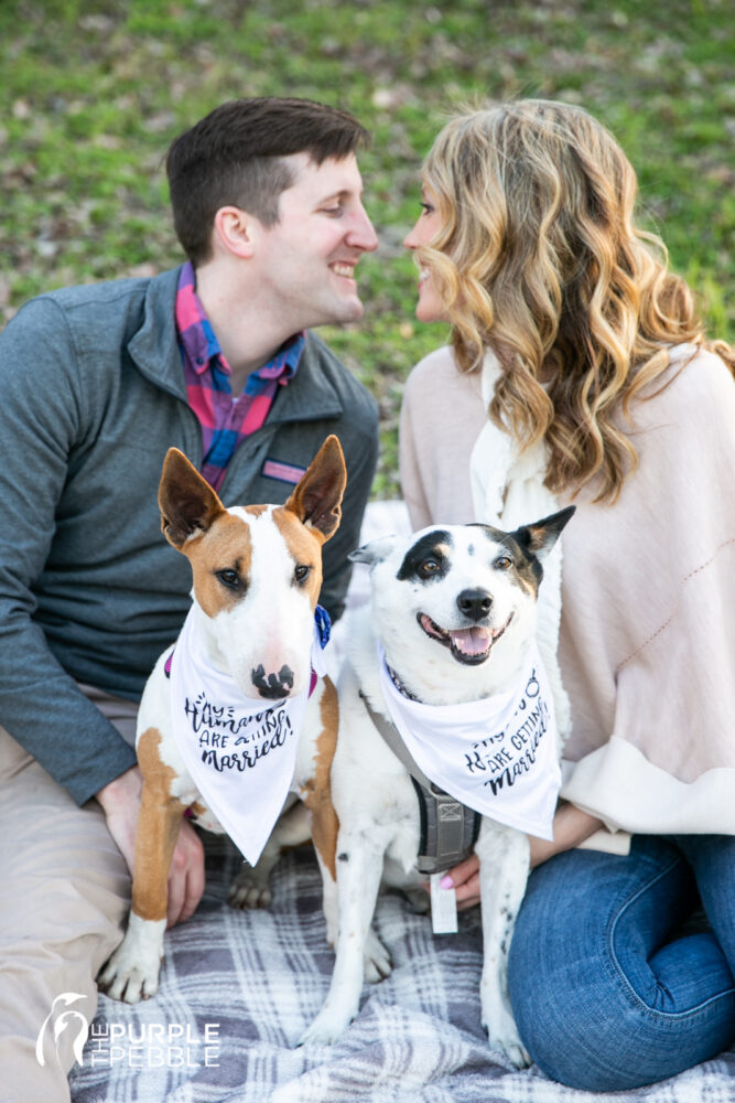 Dogs Engagement Session Ideas