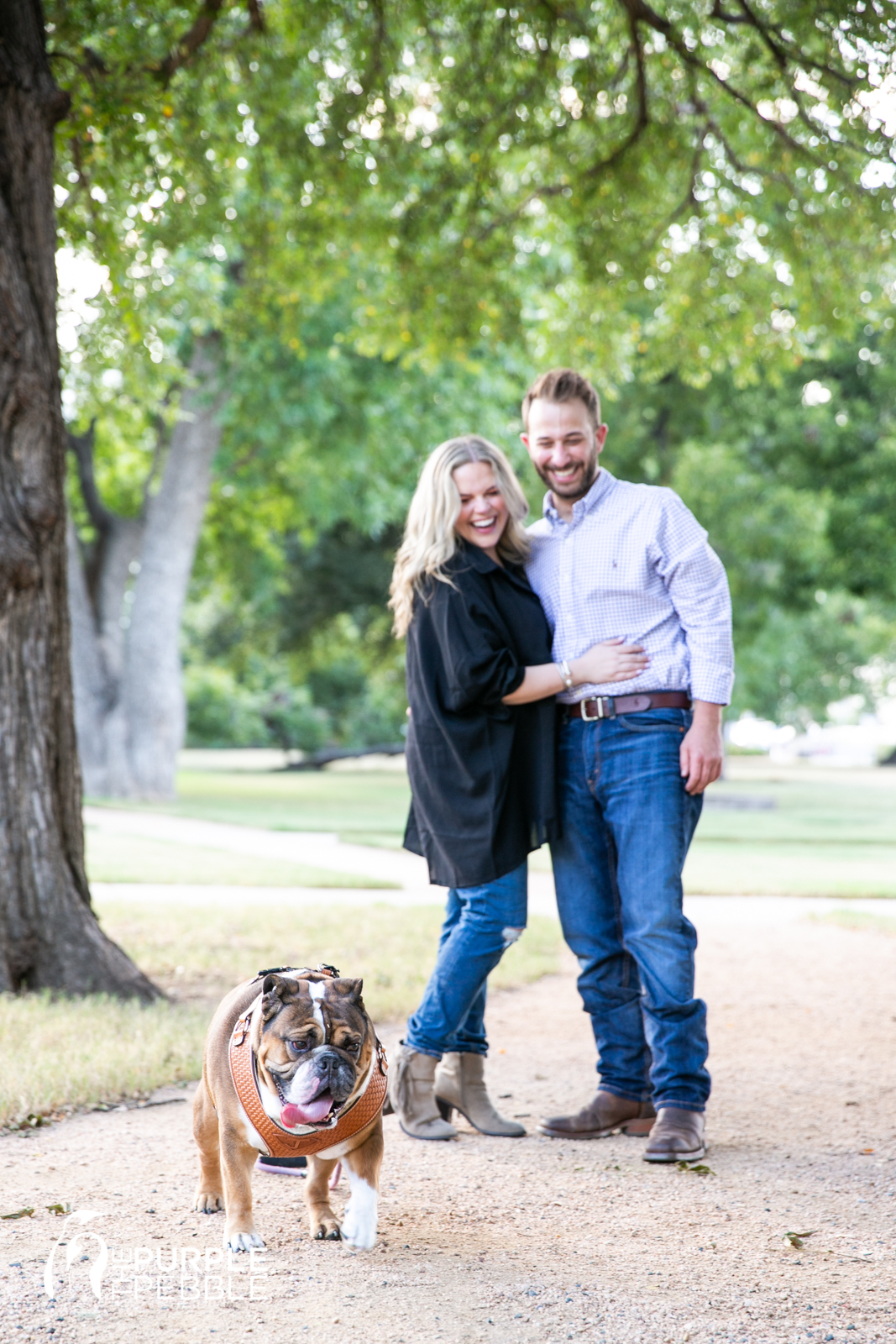 Fur Baby in Engagement Session