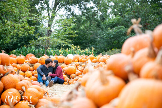 Dallas Arboretum Pumpkin Patch Engagements