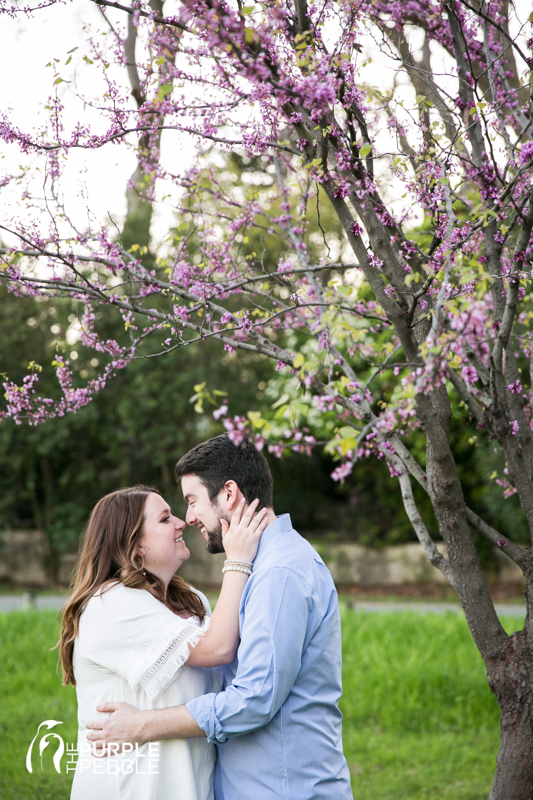 Spring Engagements