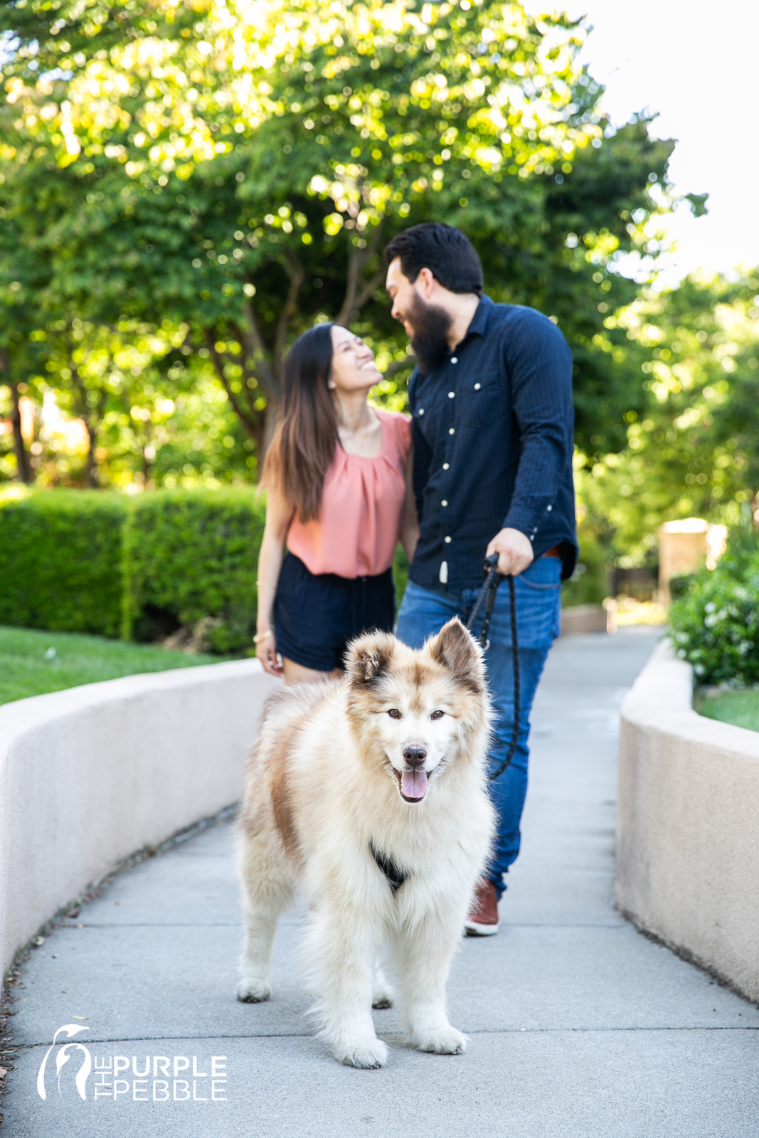 Fur Baby Engagement Session