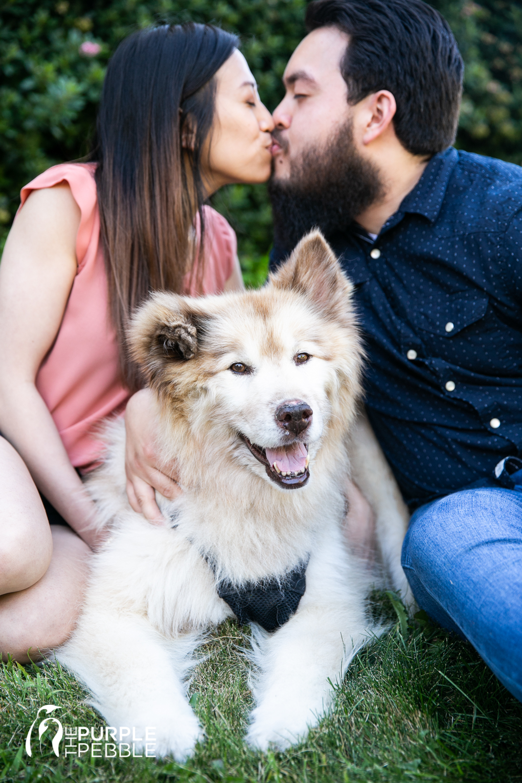 Dog in Engagement Session