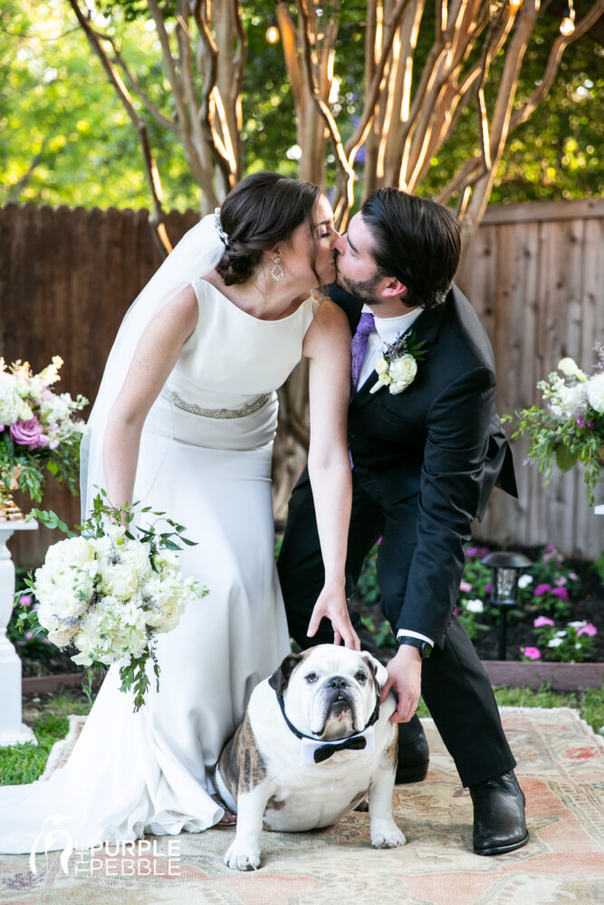 Wedding Photos with Dogs