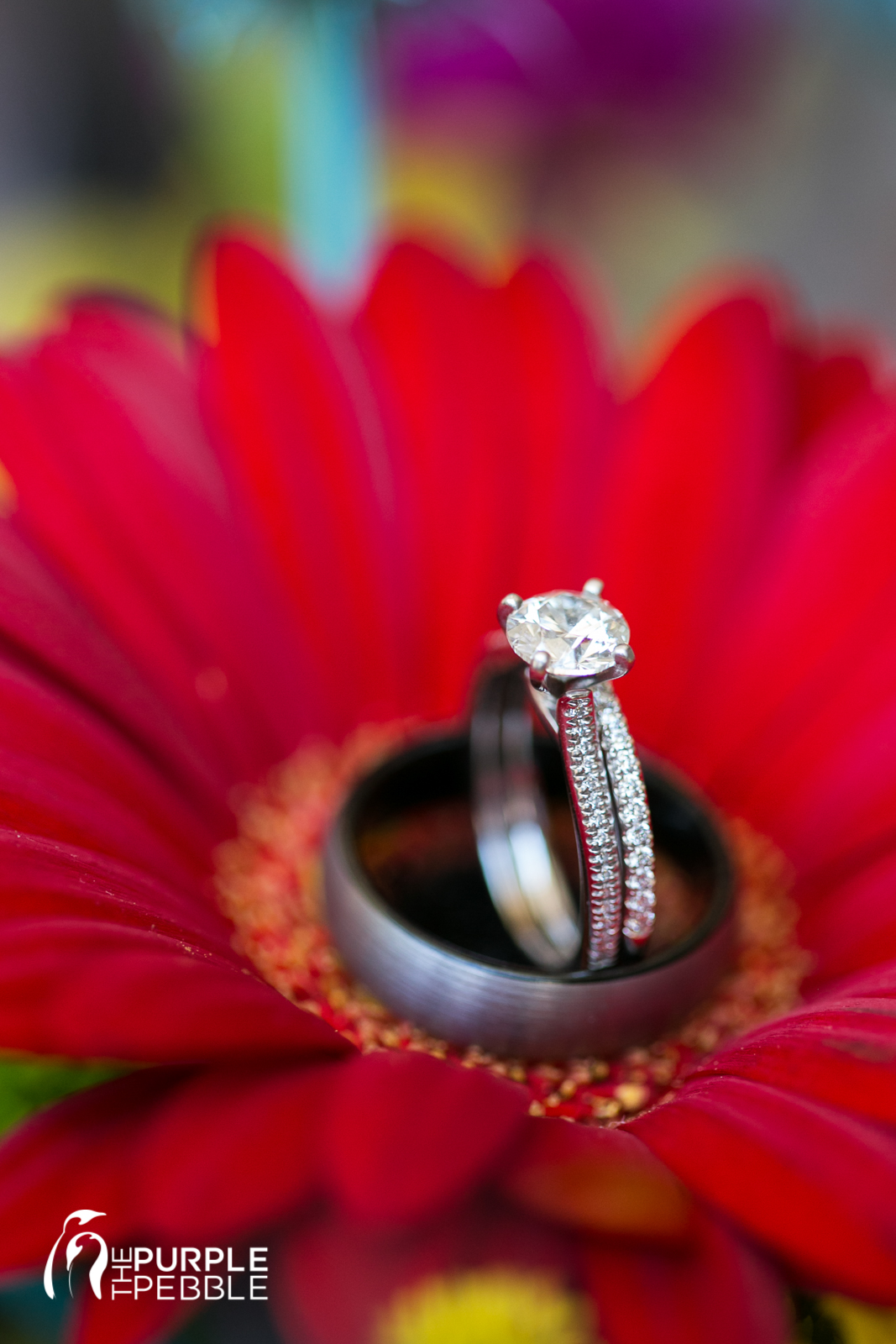 Colorful Ring Shots