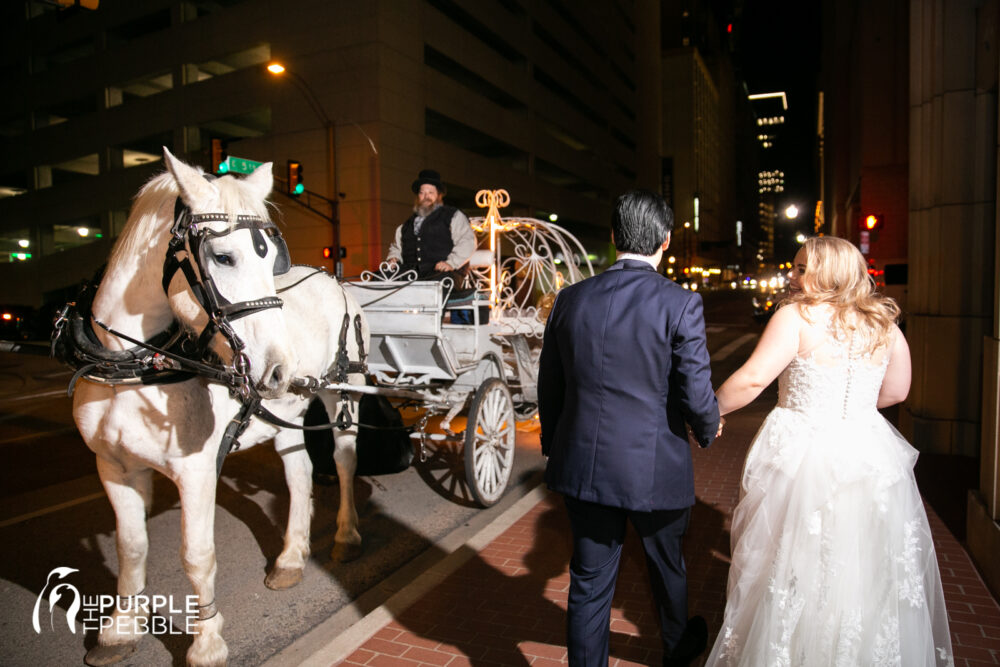 Brazos Carriage Ride