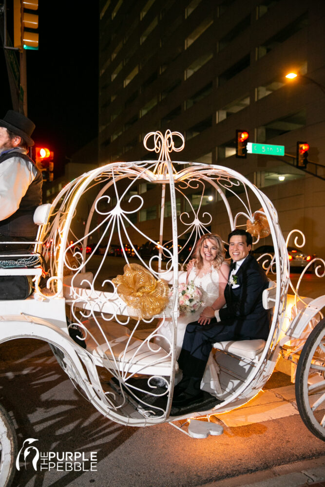 Brazos Carriage Ride Fort Worth