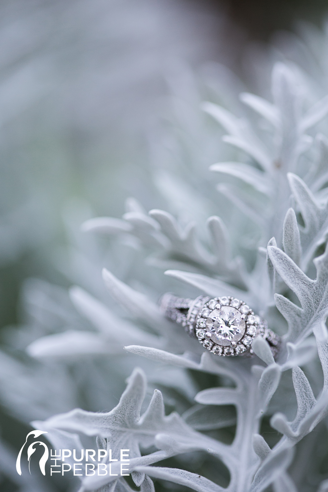 Gorgeous Engagement Ring