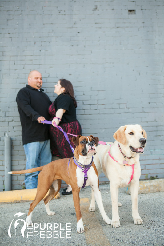 dallas engagement session with dogs deep ellum