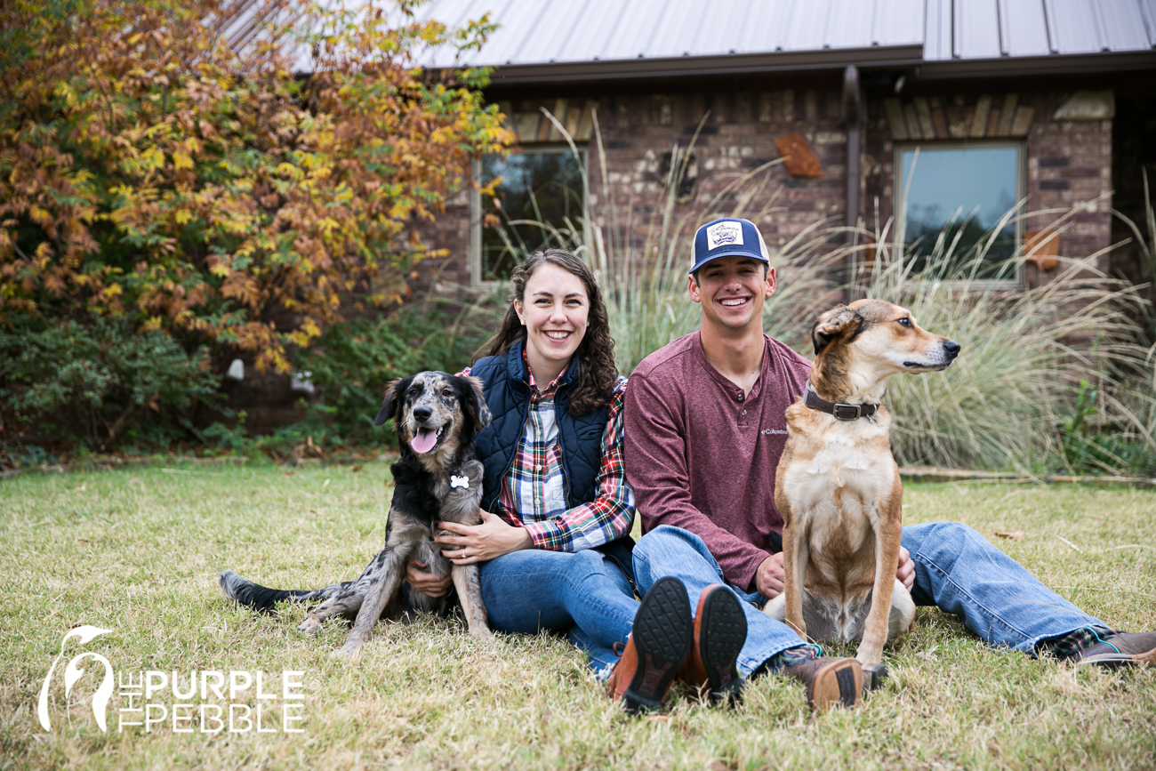 Engagement session with your pet family