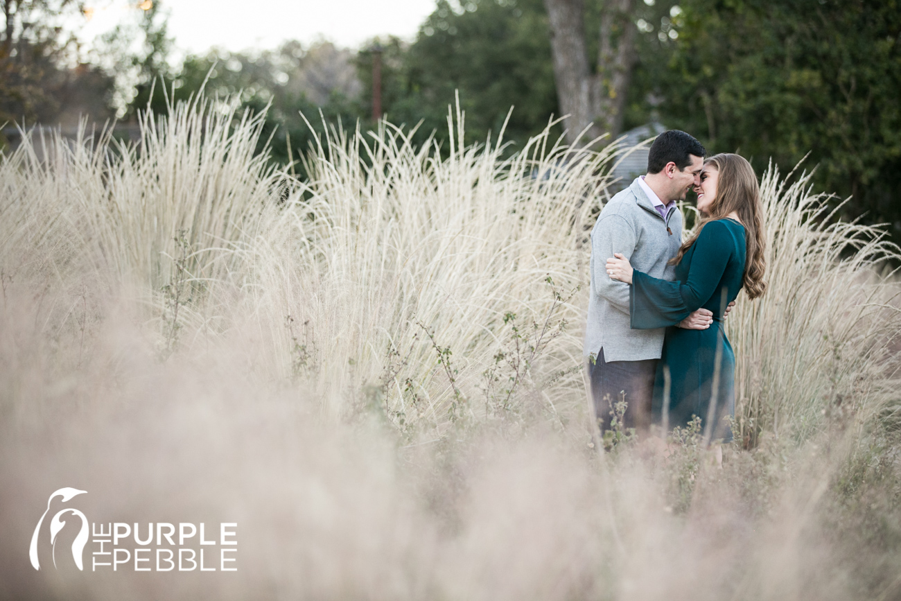 Romantic engagement session at the Fort Worth Botanic Gardens