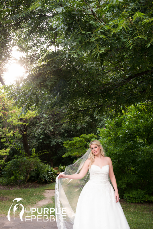 elegant bridal session botanic gardens