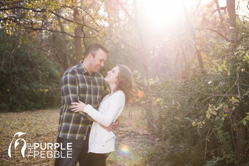 sun soaked engagement ideas in park