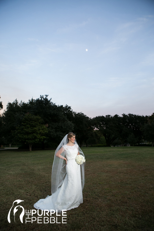 lee park sunset bridal portrait dallas texas