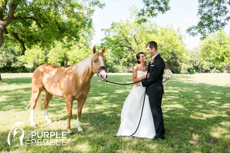 unique bride groom romantics with horse