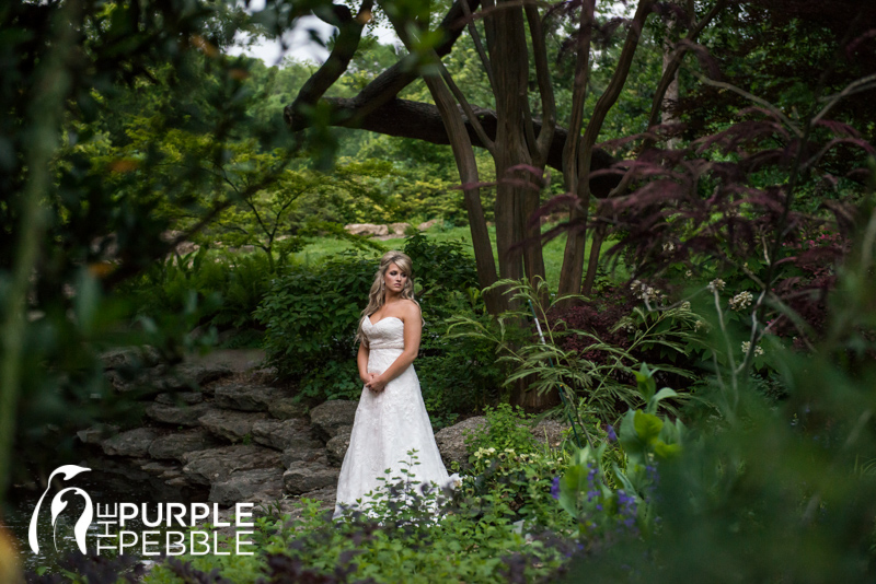 dramatic bridal photography garden